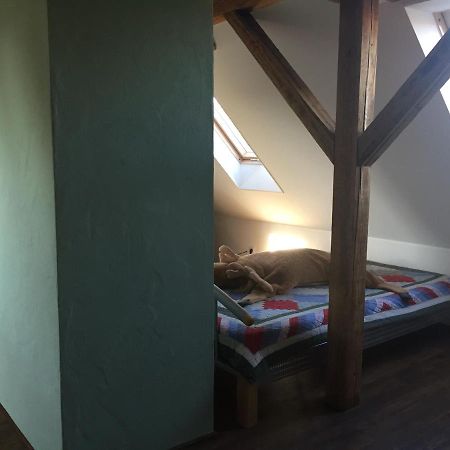 Ferienwohnung Schulze 프라이탈 외부 사진