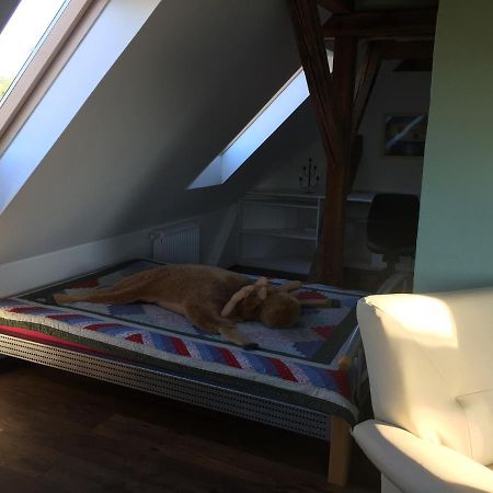 Ferienwohnung Schulze 프라이탈 외부 사진