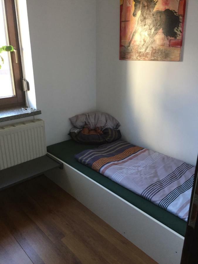 Ferienwohnung Schulze 프라이탈 외부 사진